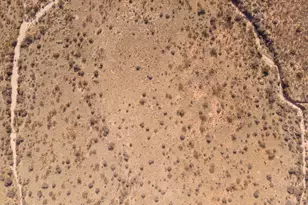 Lot 153 N Bear Run, Saint David, AZ 85630 - Photo 13