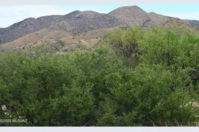 Lot 153 N Bear Run #153, Saint David, AZ 85630 - Photo 5