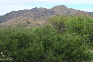 Lot 153 N Bear Run, Saint David, AZ 85630 - Photo 5