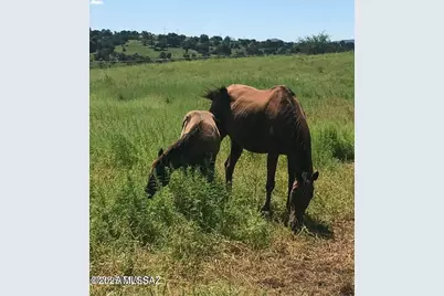 3128 Highway 82, Sonoita, AZ 85637 - Photo 3