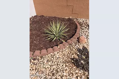 229 N Tracy Road, Pearce, AZ 85625 - Photo 39