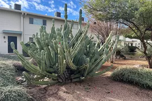 8150 E Broadway Blvd, Tucson, AZ 85710 - Photo 27