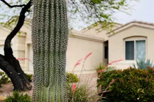 371 W Sacaton Canyon Dr, Oro Valley, AZ 85755 - Photo 47