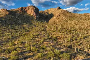 1779 E Barrell Cactus Ct, Tucson, AZ 85718 - Photo 7