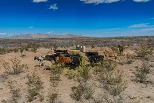 1268 E Cougar Trail, Saint David, AZ 85630 - Photo 9