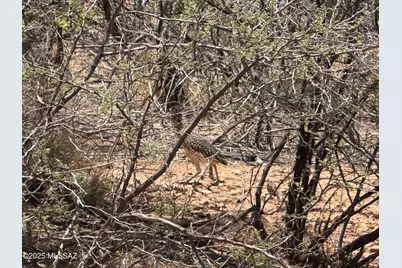 20Ac S Price Ranch Road, Pearce, AZ 85625 - Photo 27