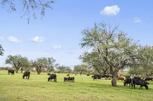 3155 W Elephant Head Rd, Amado, AZ 85645 - Photo 3