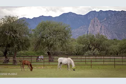 3155 W Elephant Head Road, Amado, AZ 85645 - Photo 5