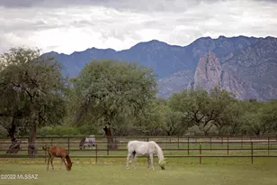 3155 W Elephant Head Rd, Amado, AZ 85645 - Photo 5