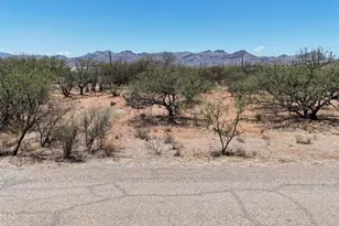 1834 Via El Paso, Rio Rico, AZ 85648 - Photo 1