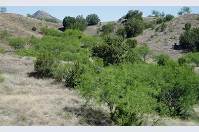 848 Side Oats Lane #194, Patagonia, AZ 85624 - Photo 3