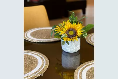 13045 N Burrobush Loop, Marana, AZ 85658 - Photo 19