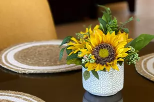 13045 N Burrobush Loop, Marana, AZ 85658 - Photo 19