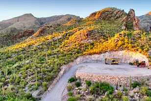 6940 N Flying Vw Pl, Tucson, AZ 85750 - Photo 7