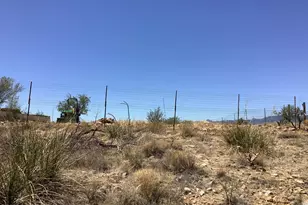 25365 W Fresnal Wash Wy, Willcox, AZ 85643 - Photo 47