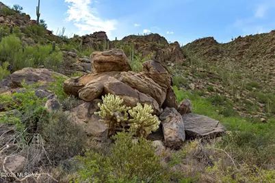 14421 N Phinny Rock Place N #48, Marana, AZ 85658 - Photo 5