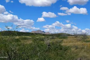 39 +/- Acre On Rambling Rd, Elfrida, AZ 85610 - Photo 1