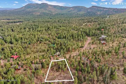 14 Co Rd 2074 #29, Alpine, AZ 85920 - Photo 7