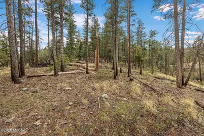 14 Co Rd 2074 #29, Alpine, AZ 85920 - Photo 1