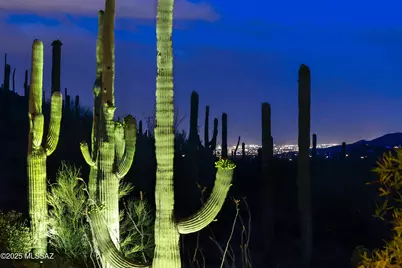 3700 N Avenida Dos Vistas, Tucson, AZ 85745 - Photo 47