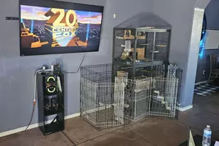 1036 N 13th Ave, Tucson, AZ 85705 - Photo 11