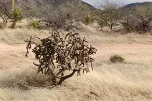 18 W Lots Diamond Bell Ranch Rd, Tucson, AZ 85736 - Photo 11