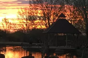 275 W Calle Moncayo, Sahuarita, AZ 85629 - Photo 49