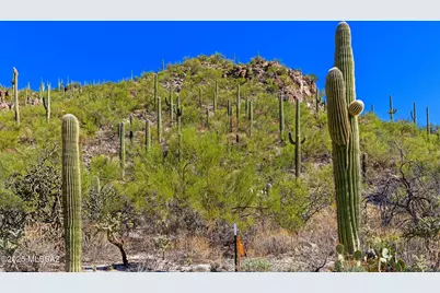14124 N Tortolita Estates Drive, Tucson, AZ 85755 - Photo 13