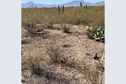 2046 E Old Stone House Trail #61, Sahuarita, AZ 85629 - Photo 3