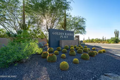 7245 Cactus Flower Pass, Marana, AZ 85658 - Photo 43