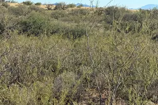 Lot 105 E Cottontail Trail, Saint David, AZ 85630 - Photo 3