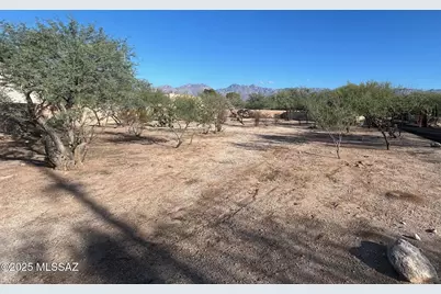 2021 N Corte Tomasin #1, Tucson, AZ 85715 - Photo 5