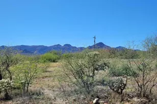 95 Camino Josefina, Rio Rico, AZ 85648 - Photo 7