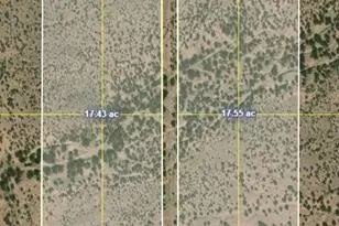 35 Acres Calle De Amigos, Mc Neal, AZ 85617 - Photo 1