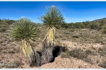 Tbd E Old Dusty Trail #., Vail, AZ 85641 - Photo 3