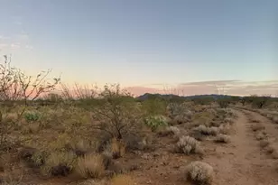 13839 S Justice Ave, Tucson, AZ 85736 - Photo 1