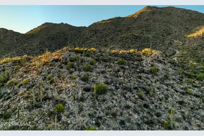 4365 W Cush Canyon Loop #82, Marana, AZ 85658 - Photo 11