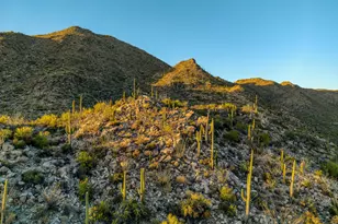 4365 W Cush Canyon Loop, Marana, AZ 85658 - Photo 13