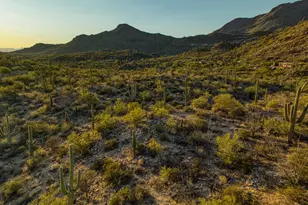 4365 W Cush Canyon Loop, Marana, AZ 85658 - Photo 11