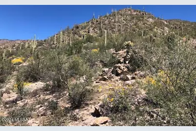 7296 E Stone Canyon Drive, Tucson, AZ 85750 - Photo 13