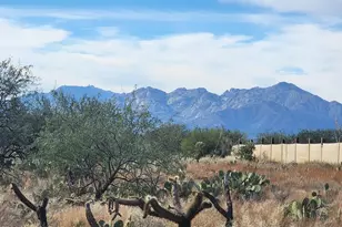 15246 S Carlsburg Ave, Tucson, AZ 85736 - Photo 13