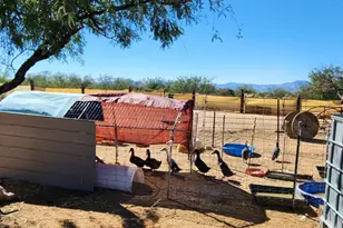 15246 S Carlsburg Ave, Tucson, AZ 85736 - Photo 19