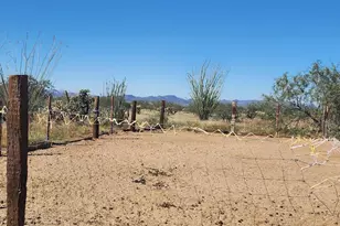 15246 S Carlsburg Ave, Tucson, AZ 85736 - Photo 27