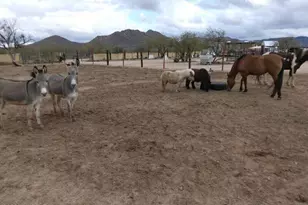 15246 S Carlsburg Ave, Tucson, AZ 85736 - Photo 1