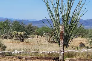 15246 S Carlsburg Ave, Tucson, AZ 85736 - Photo 29