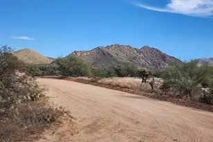 15246 S Carlsburg Ave, Tucson, AZ 85736 - Photo 43