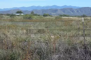 10747 N Bell Rd, Elfrida, AZ 85610 - Photo 41