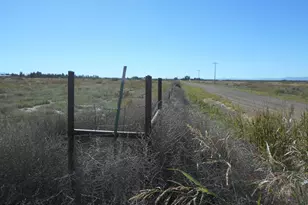 10747 N Bell Rd, Elfrida, AZ 85610 - Photo 37