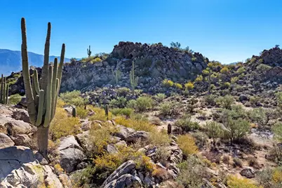 867 W Granite Gorge Drive #327, Oro Valley, AZ 85755 - Photo 3