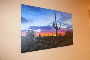 61217 E Arbor Basin Rd, Oracle, AZ 85623 - Photo 23